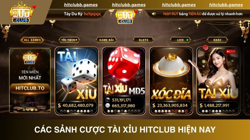 Trải nghiệm cược Tài Xỉu MD5 cam kết kết quả minh bạch 100% 