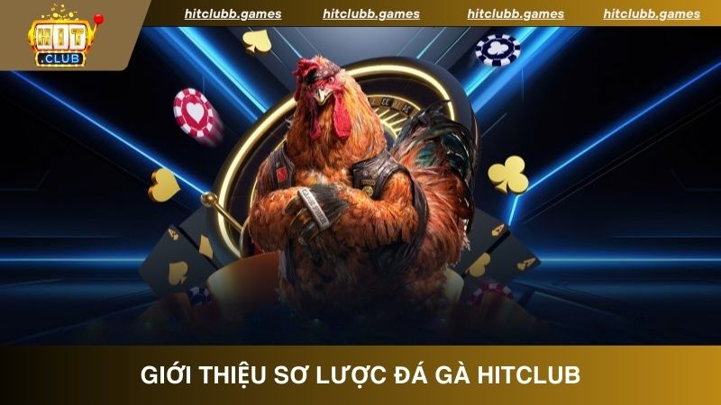 Giới thiệu sơ lược về đá gà tại HitClub